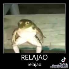 Relajao