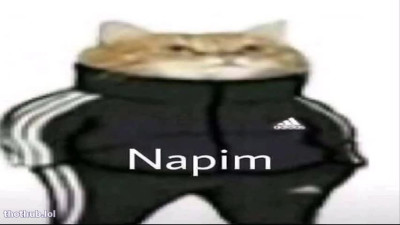 napim