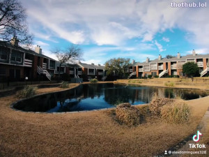 Pond views