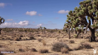 Putri Cinta Desert Heat