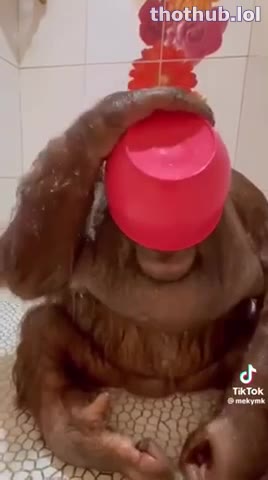 OnlyFans leaked Monkey showered on HDthot